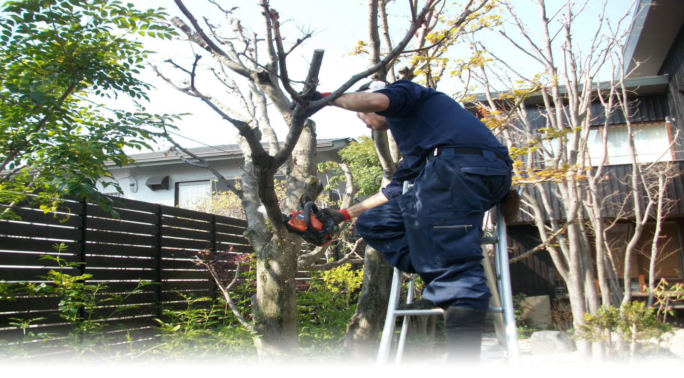 植木の伐採・伐根の事ならお任せ下さい。