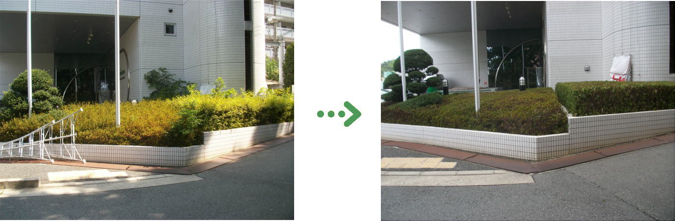 植栽管理の施工前と施工後