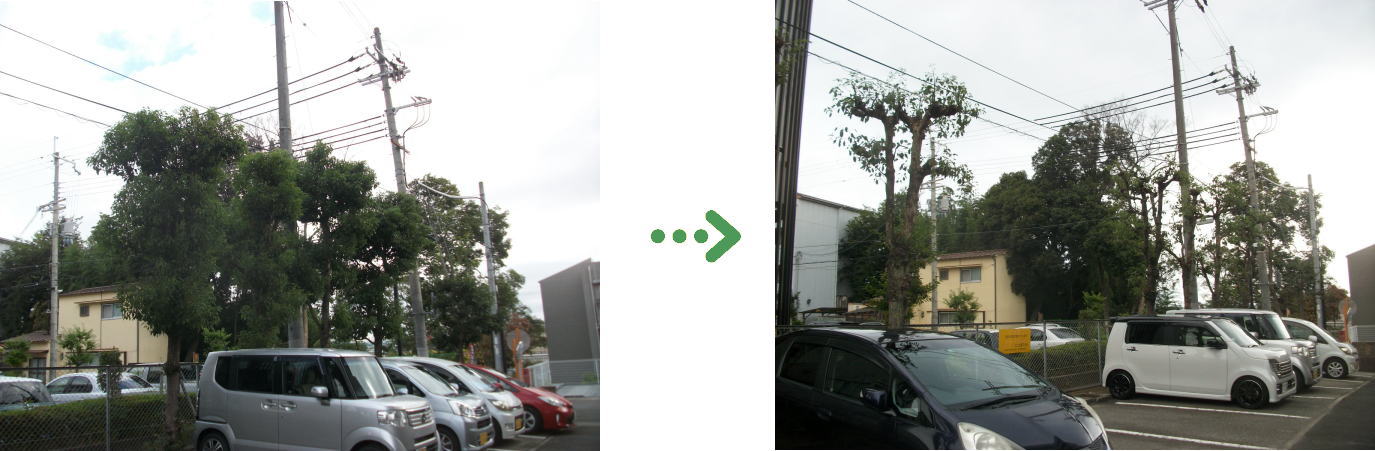 植栽管理の施工前と施工後